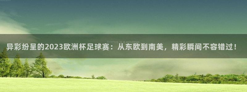 世界杯 2026：异彩纷呈的2023欧洲杯足球赛：从东欧到南美，精彩瞬间不容错过！
