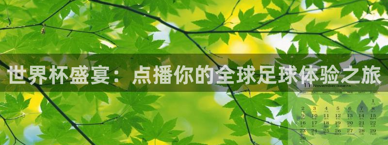 世界杯欧洲区预选赛：世界杯盛宴：点播你的全球足球体验之旅