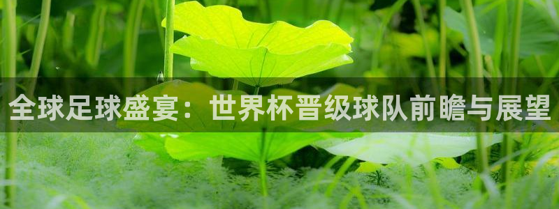 2026世界杯德国队阵容：全球足球盛宴：世界杯晋级球队前瞻与展望