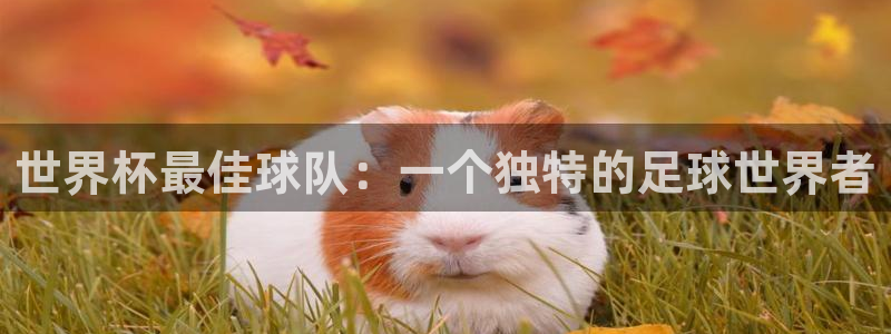 世界杯预选赛欧洲赛区积分榜：世界杯最佳球队：一个独特的足球世界者