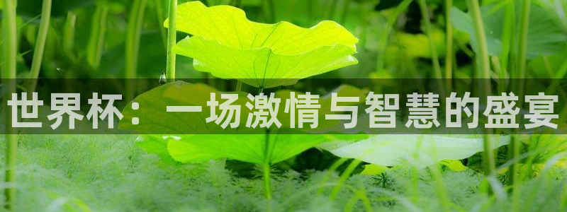 亚洲区世界杯预选赛：世界杯：一场激情与智慧的盛宴