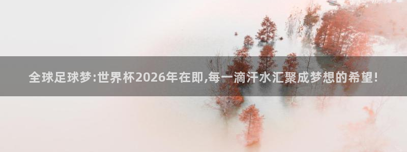 世界杯在线直播入口：全球足球梦:世界杯2026年在即,每一滴汗水汇聚成梦想的希望!
