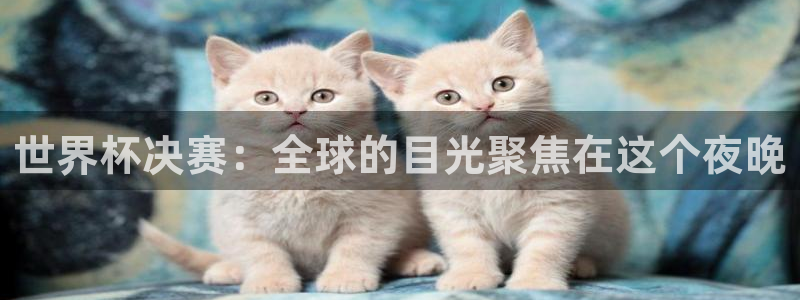 世界杯官网入口：世界杯决赛：全球的目光聚焦在这个夜晚