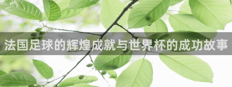 世界杯预选赛欧洲区赛程：法国足球的辉煌成就与世界杯的成功故事